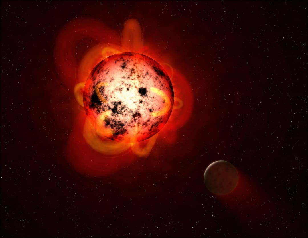 旅澳大熊猫“星秋”“怡兰”将于21日在阿德莱德与大众碰头